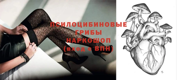 мдпв Заводоуковск