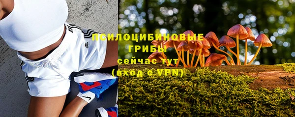 МДПВ Заволжск