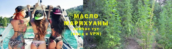 мдпв Заводоуковск